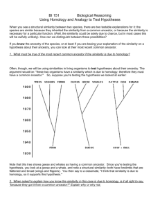 Using Homology and Analogy to Test Hypotheses