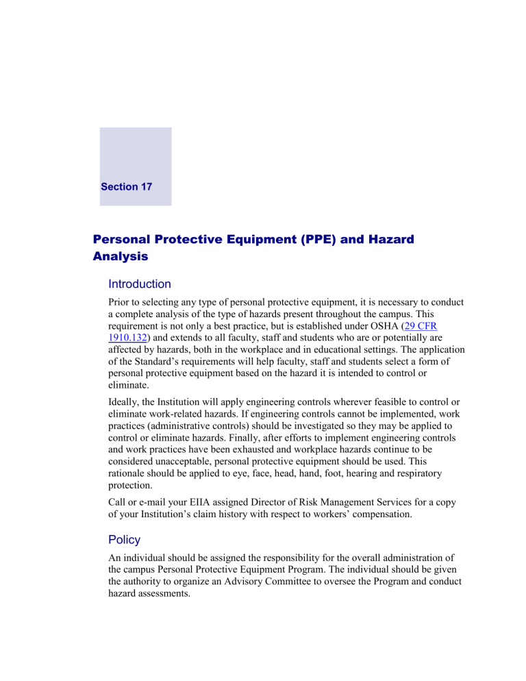 ppe personal statement structure