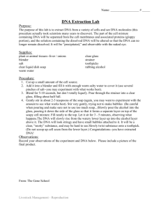 DNA Extraction