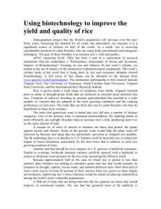 Using biotechnology to improve the yield and quality of rice