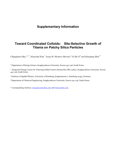Supplementary Information Toward Coordinated Colloids: Site