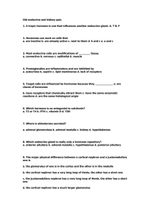 Old endocrine and kidney quiz