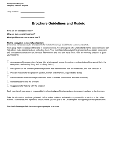 Brochure guidelines and rubric