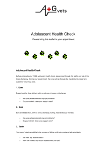 Adolescent Health Check Website