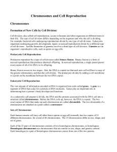 Chromosomes and Cell Reproduction