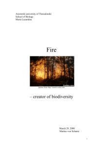 Forest fires, creator of biodiversity