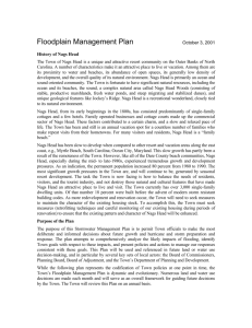 Floodplain Management Plan October 3, 2001