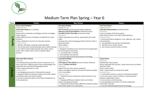 Long term plan – Y2 (NB some parts of this overview are in outline