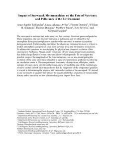 Impact of Snowpack Metamorphism on the Fate of Nutrients and