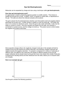 Dye Gel Electrophoresis Lab
