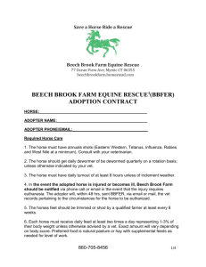 adoption_contract_BBFER - Beech Brook Farm Equine Rescue