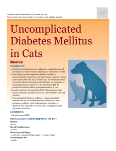 uncomplicated_diabetes_mellitus_in_cats