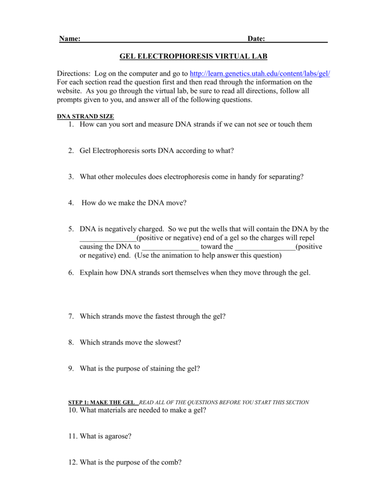 GEL ELECTROPHORESIS VIRTUAL LAB Pertaining To Gel Electrophoresis Worksheet Answers