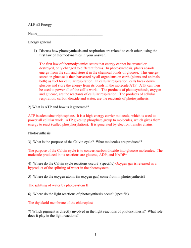 ap biology photosynthesis short answer questions