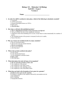 b. By Kingdoms: Archaea, Prokaryotes, Animalia, Plantae, Fungi