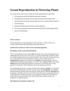 Sexual Reproduction in Flowering Plants