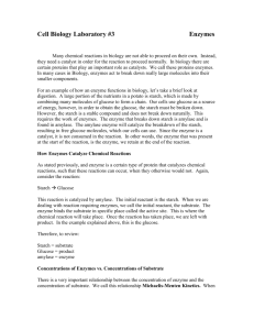 Cell Biology Laboratory #3 Enzymes