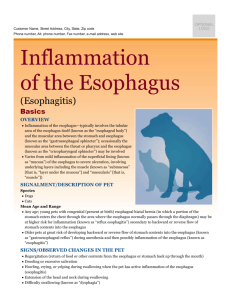 inflammation_of_the_esophagus