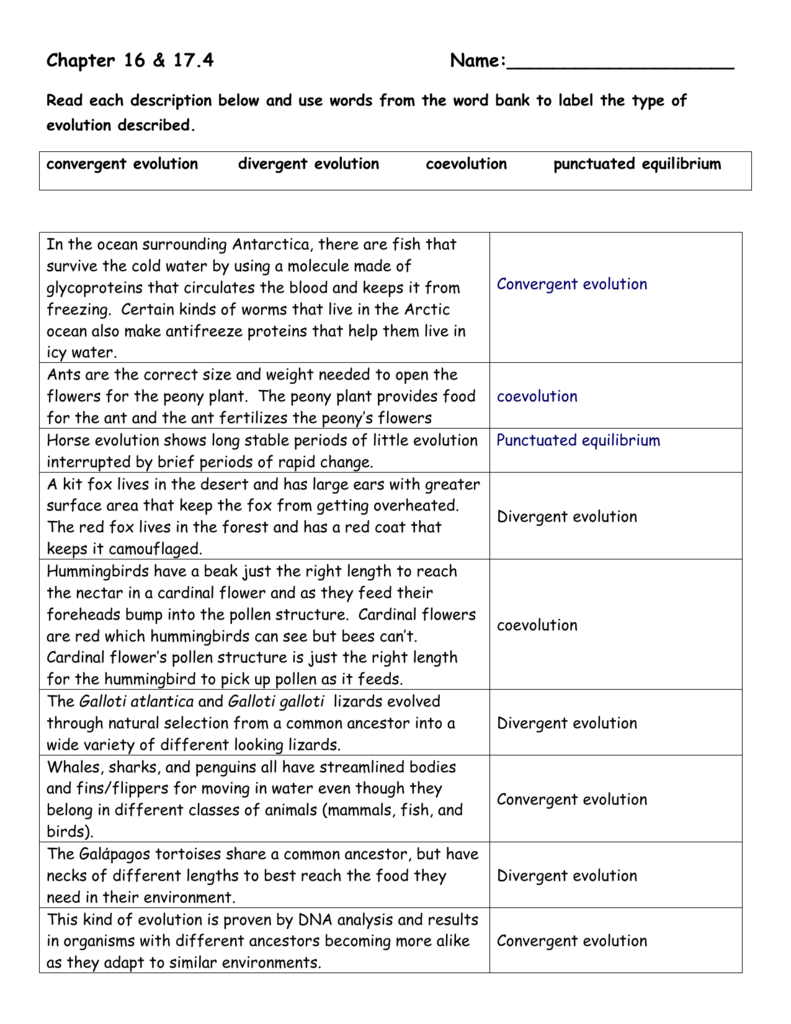 Chapter 11 & 11.11 Name: Read each description below and use Pertaining To Types Of Evolution Worksheet