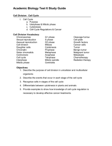 Study guide for Cellular Respiration: Chapter 9 in Text