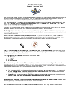 Canine Vaccination Handout