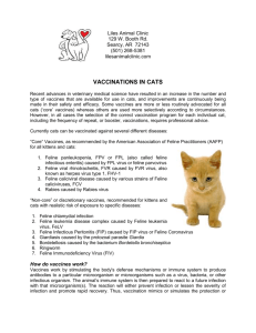 VACCINATIONS IN CATS - Liles Animal Clinic