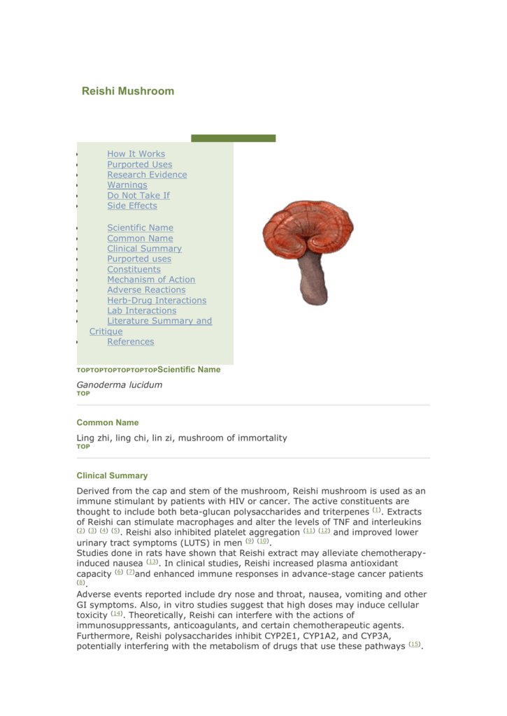 reishi mushroom side effects liver