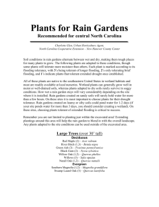 Plants for Rain Gardens