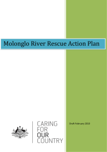 DRAFT MOLONGLO RIVER ACTION PLAN