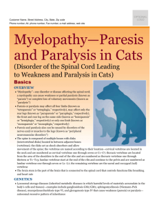 myelopathy-paresis_and_paralysis_in_cats