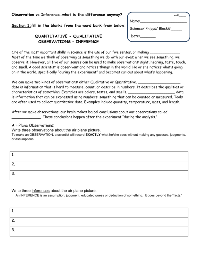 Observation Vs Inference Worksheet