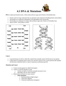 4.1 DNA Mutations