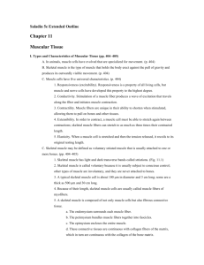 Saladin 5e Extended Outline