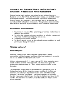 Topic Summary - Lewisham`s Joint Strategic Needs Assessment