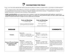 Foal Vaccination Chart - American Association of Equine Practitioners