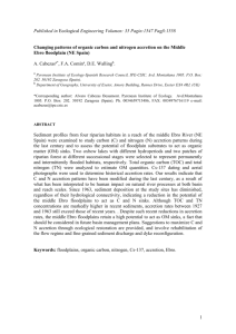 Effects of the disruption of river-floodplain interactions over carbon