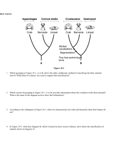 BIOLOGY Chapter 18 WORKSHEET