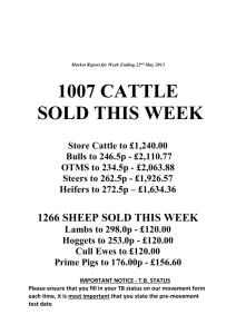 Wk21.13.20.05.13 - Newark Livestock Sales