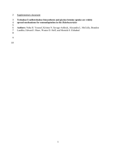 Supplementary document Trehalose/2