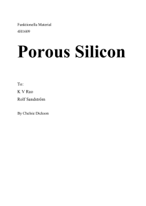 Porous Silicon