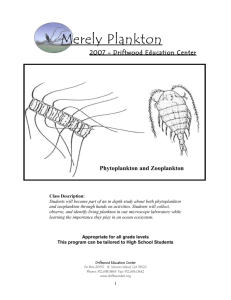 Merely Plankton - Driftwood Education Center