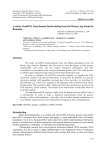 A study of mtDNA from human fossil bones dating from the Bronze