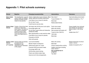Appendix 1: Pilot schools summary 69kb