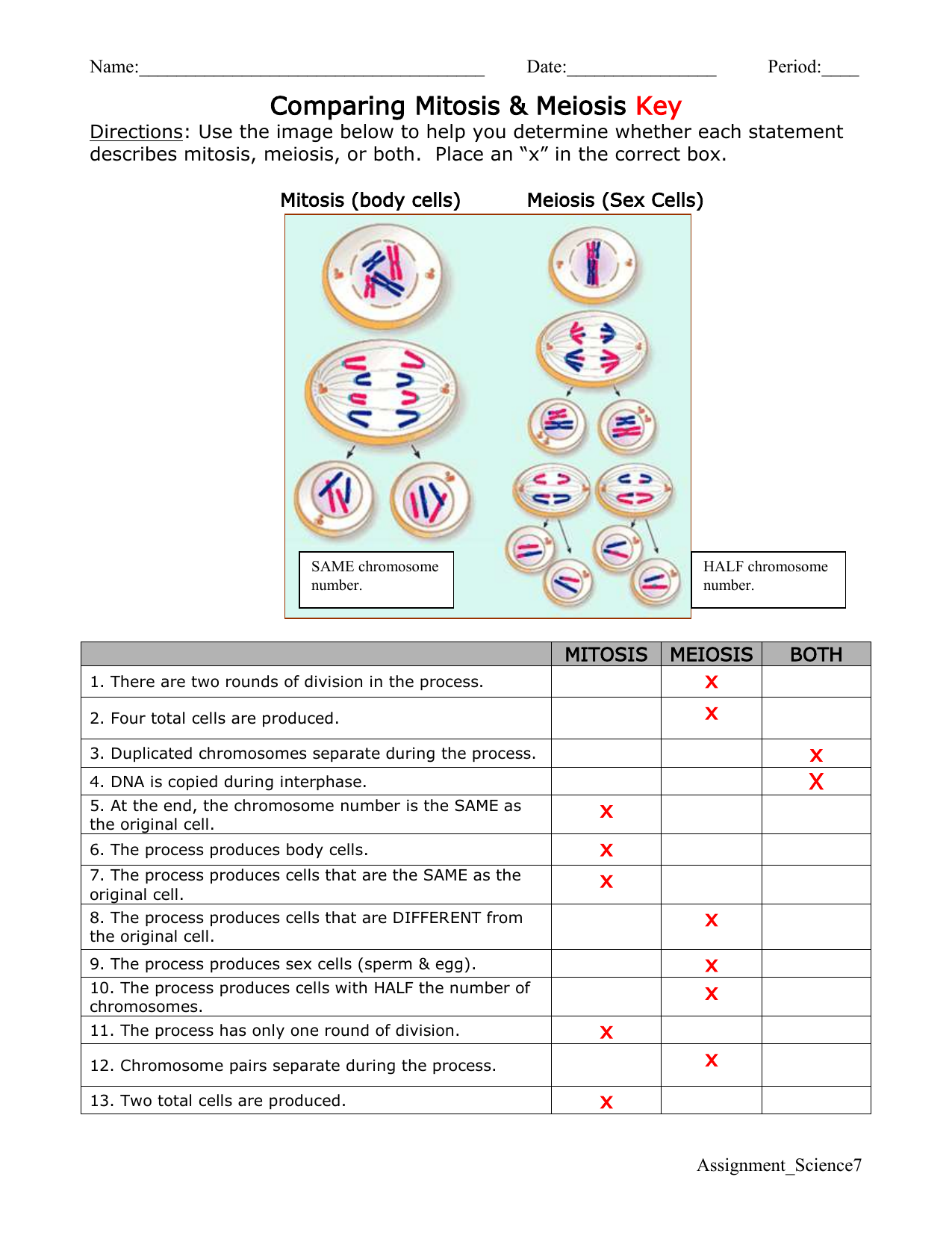 Biology Comparing Mitosis And Meiosis Worksheet Answers TUTORE ORG