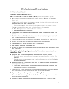 chapter 16 the molecule basis of inheritance