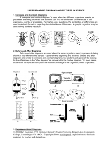 UNDERSTANDING DIAGRAMS AND PICTURES IN SCIENCE