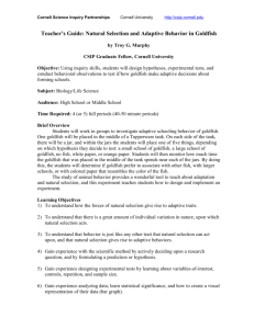 Teacher`s Guide - CSIP Cornell