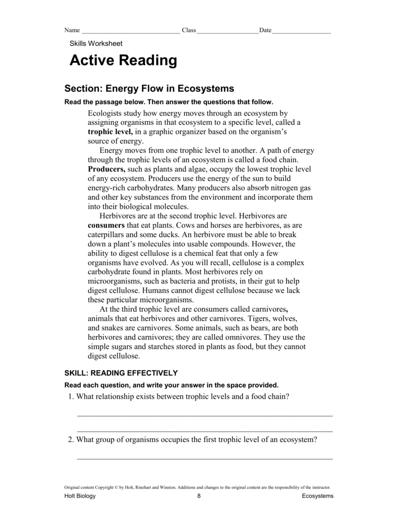 Energy Flow in Ecosystems Regarding Energy Flow In Ecosystems Worksheet