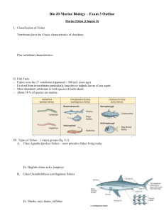 Bio 115: Marine Fishes Ch