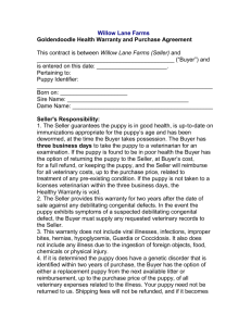 Goldendoodle Purchase Agreement printable copy